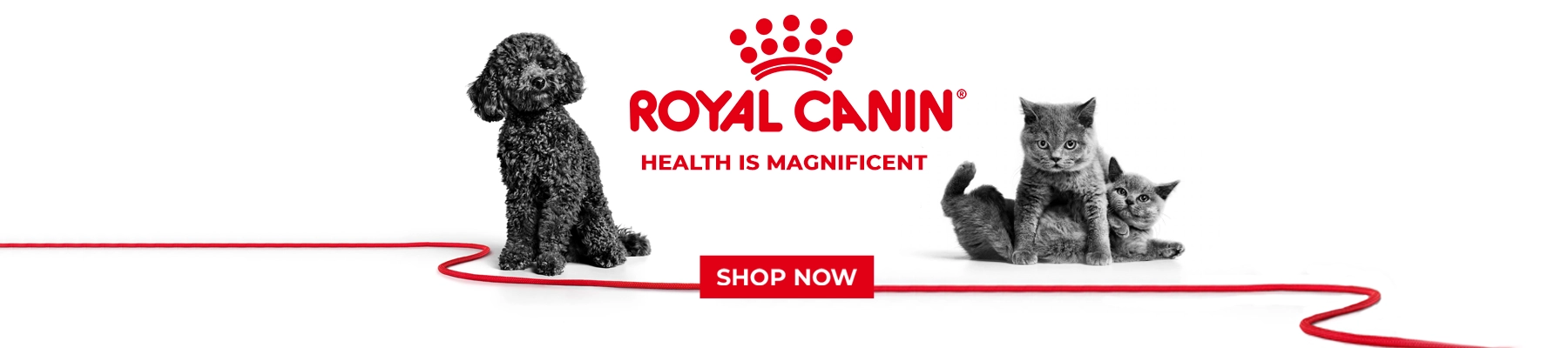 ROYAL CANIN on WAW PET