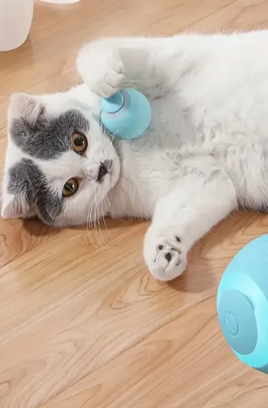 Interactive Electric Pink Rolling Ball Cat Toy 