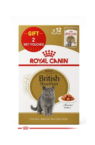 Royal Canin Cat Wet British Shorthair Adult Gravy 85g 10+2 Pouches Gift