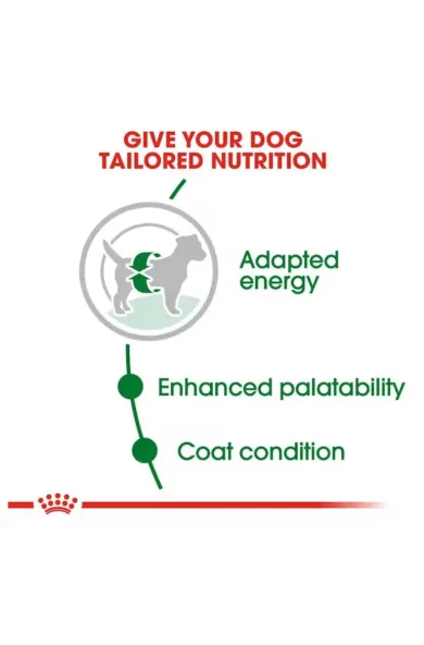 Royal Canin Mini Adult - 2Kgs