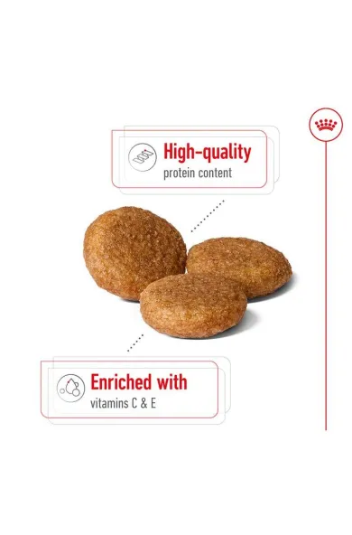 ROYAL CANIN Medium Adult - 4Kgs