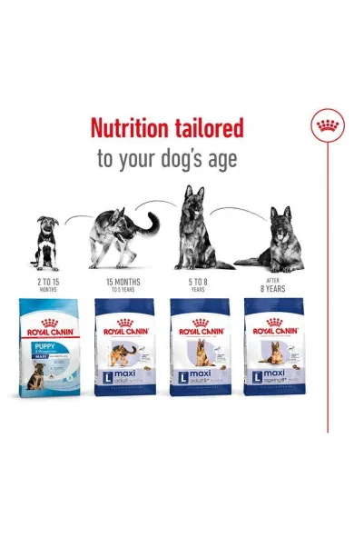 Royal Canin Maxi Adult - 4Kg