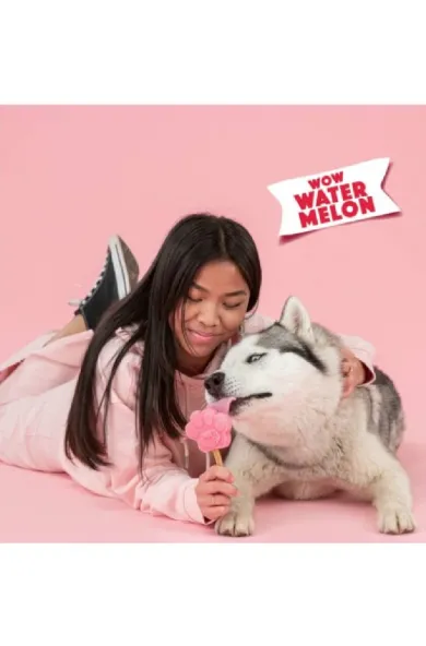 Smoofl Watermelon Mix for Dog Ice