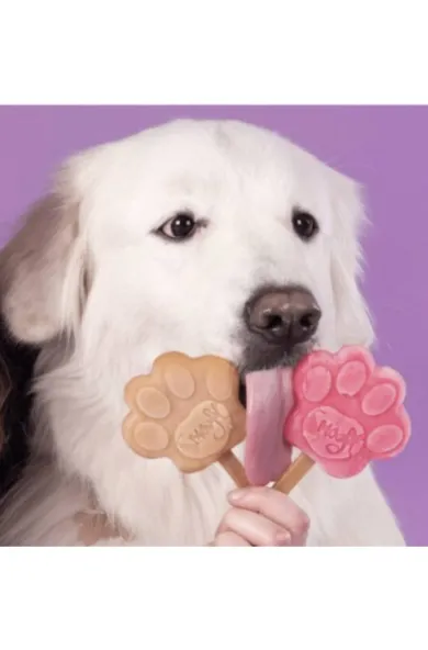 Smoofl Starter Kit Mix for Dog Ice – Medium