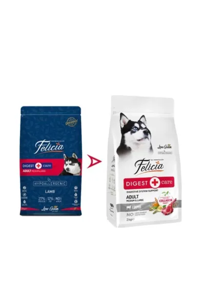 Felicia Digest Care Adult Lamb Medium and Large 3kg