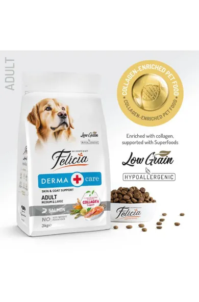 Felicia Derma Care Adult Salmon Medium and Large 3kg