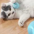 Interactive Electric Pink Rolling Ball Cat Toy 