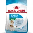  ROYAL CANIN SIZE HEALTH NUTRITION Mini Starter Mother & Babydog 4kg