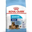 Royal Canin Maxi Starter - 4Kg