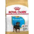 Royal Canin Rottweiler Puppy - 12kg
