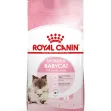 Royal Canin Mother & Babycat - 4kg