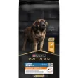 PURINA PRO PLAN LARGE ROBUST ADULT DOG CHICKEN- 14 Kg