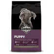 Diamond Premium Puppy ALL LIFE STAGES - 2.7kg