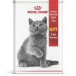 Royal Canin Cat British Shorthair Adult 2kg+2 Wet Pouches Gift