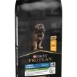 PURINA PRO PLAN DOG LARGE ROBUST PUPPY CHICKEN - 12KG