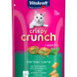 VITAKRAFT Crispy Crunch Dental with peppermint oil