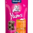 VITAKRAFT CAT YUMS CHICKEN & CAT GRASS