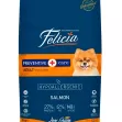 Felicia Preventive Care Adult Salmon Small 6kg