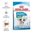 Royal Canin Mini Puppy - 2kg
