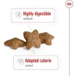 Royal Canin Mini Adult - 2Kgs