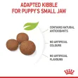 Royal Canin Medium Puppy - 4Kgs
