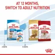 Royal Canin Medium Puppy - 4Kgs
