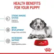 Royal Canin Medium Puppy - 4Kgs