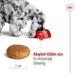 ROYAL CANIN Medium Adult - 4Kgs