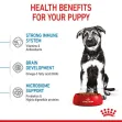 Royal Canin Maxi Puppy - 4Kg