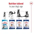 Royal Canin Maxi Adult - 4Kg