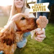 Smoofl Peanut Butter Mix for Dog Ice