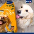 Vitakraft Advent Calendar for Dogs