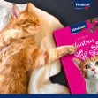 Vitakraft Advent Calendar for Cats