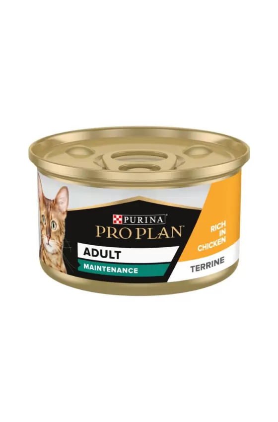 Purina Pro Plan Cat Adult Maintenance Chicken - 85g