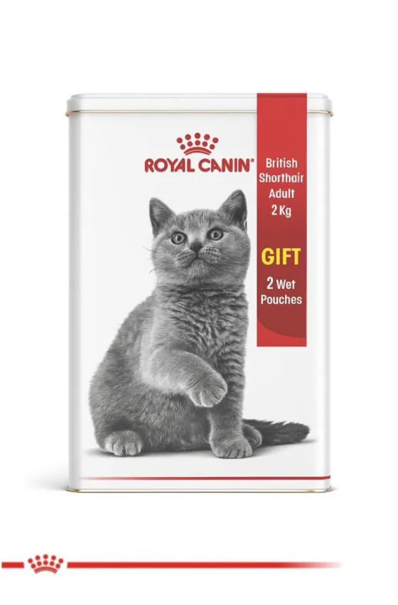 Royal Canin Cat British Shorthair Adult 2kg+2 Wet Pouches Gift