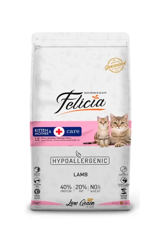 Felicia Kitten and Mother Lamb 2kg